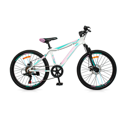 BICICLETA GRIBOM SHERWOOD NVA RODADO 24" DAMA (Cod. 35280)