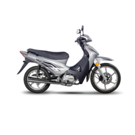 MOTO MONDIAL  – LD 110 MAX A/D PLATA FULL (Cod. 21090)